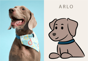ARLO