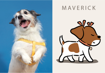 MAVERICK