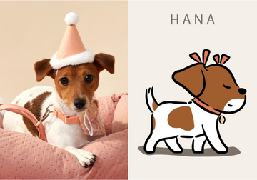 HANA