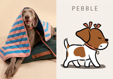 PEBBLE