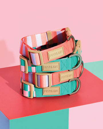 Prynometry Quick Release Collar ปลอกคอ