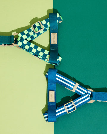Prynometry Step-In Harness สายรัดอก
