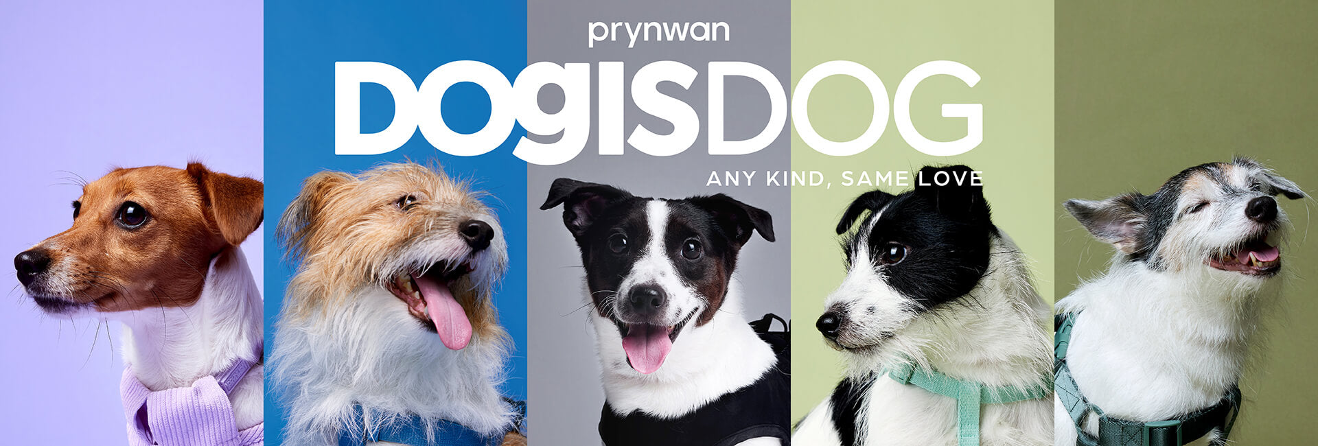 slider image slider_item_RyjF4U