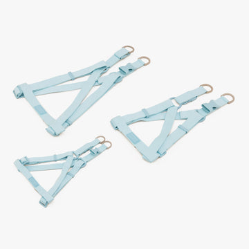 Dog Harness Tone On Tone | สายรัดอก สัตว์เลี้ยง สีฟ้า