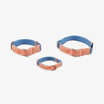Dog Collar Two Tone | ปลอกคอ สัตว์เลี้ยง สีน้ำเงิน-ส้ม