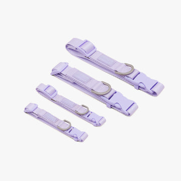 Viola Quick Release Collar ปลอกคอ