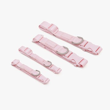 Rosa Quick Release Collar ปลอกคอ
