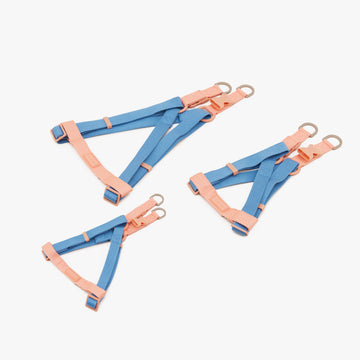 Dog Harness Two Tone | สายรัดหน้าอก สัตว์เลี้ยง สีน้ำเงิน-ส้ม