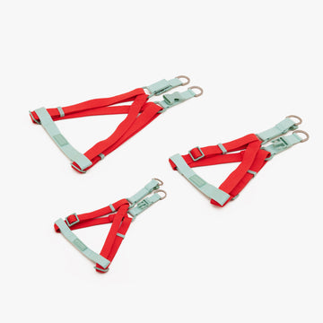 Dog Harness Xmas | สายรัดหน้าอกสุนัข