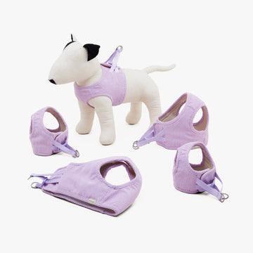 Dog Harness Vest - VIOLA | สายรัดหน้าอกสุนัข แบบเต็มตัว สีม่วง