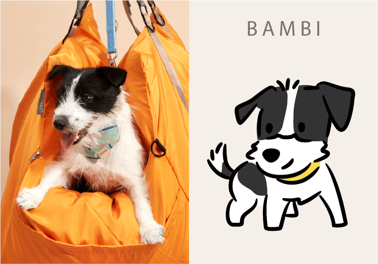 BAMBI