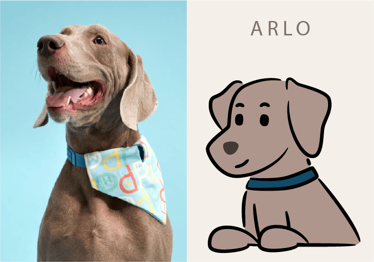 ARLO