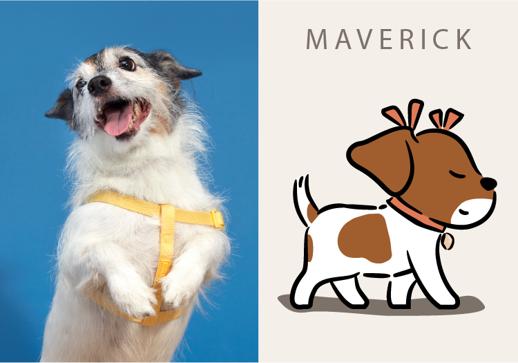 MAVERICK