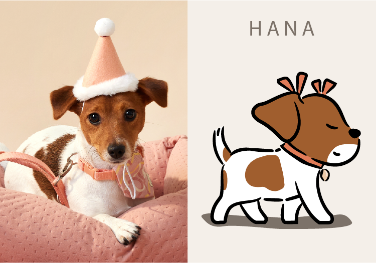 HANA