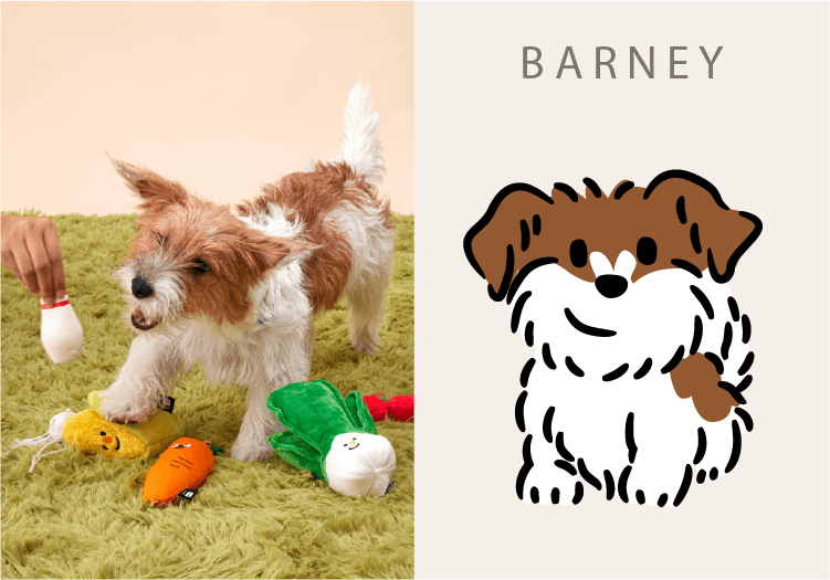 BARNEY
