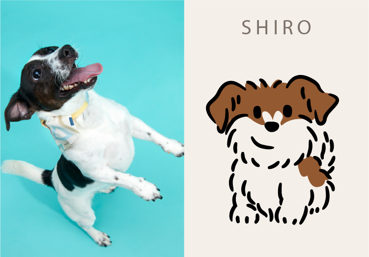 SHIRO