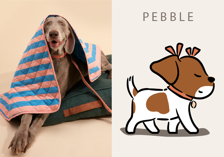 PEBBLE
