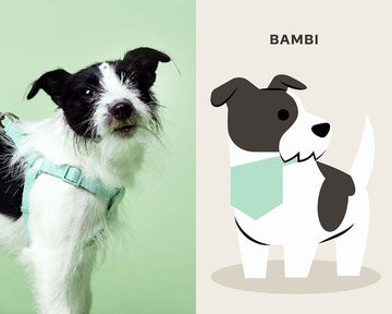 BAMBI