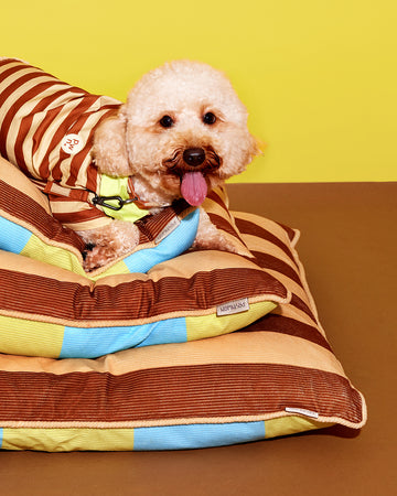 Prynometry Cushion Style  Bed	เตียงนอน