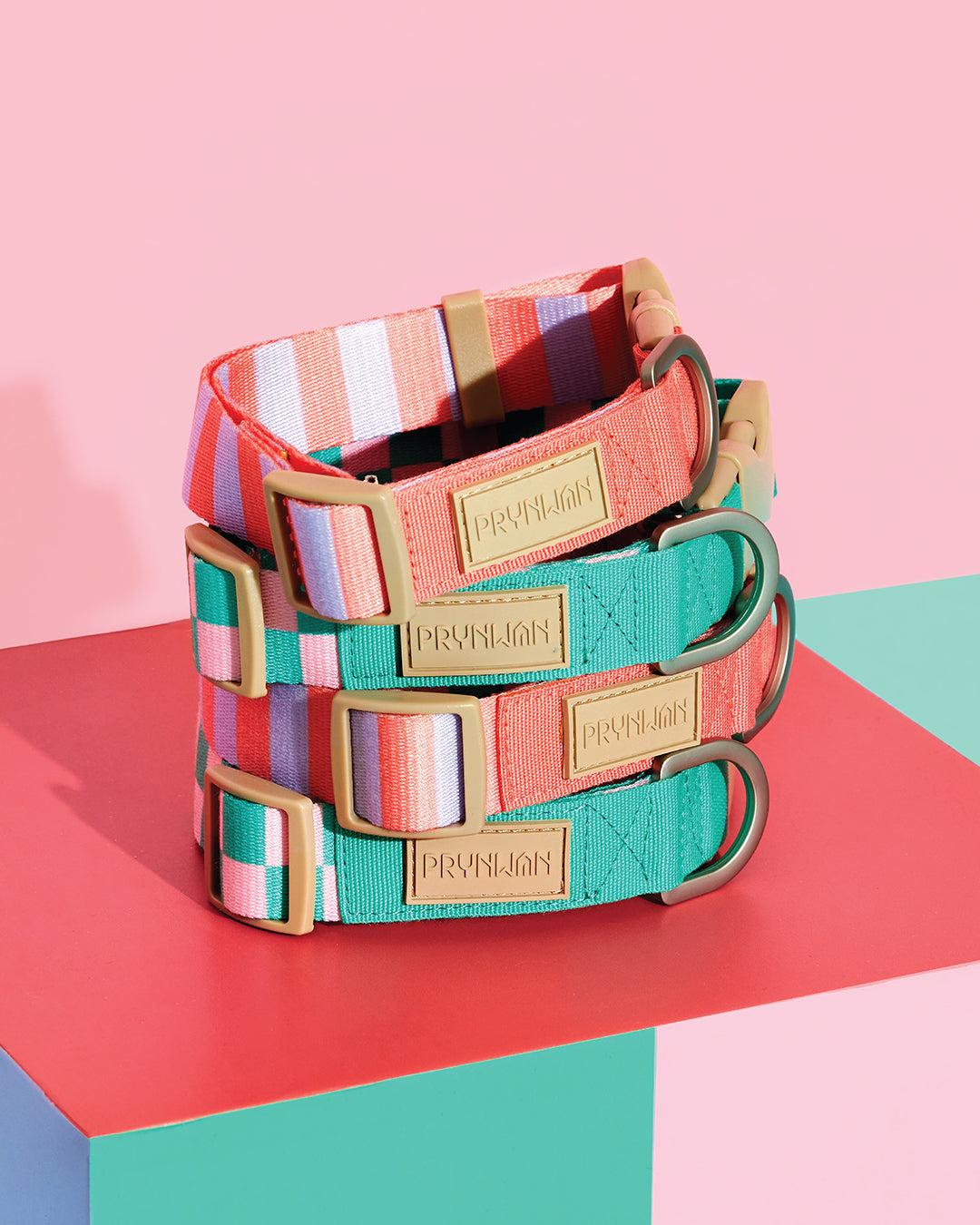 Prynometry Quick Release Collar ปลอกคอ
