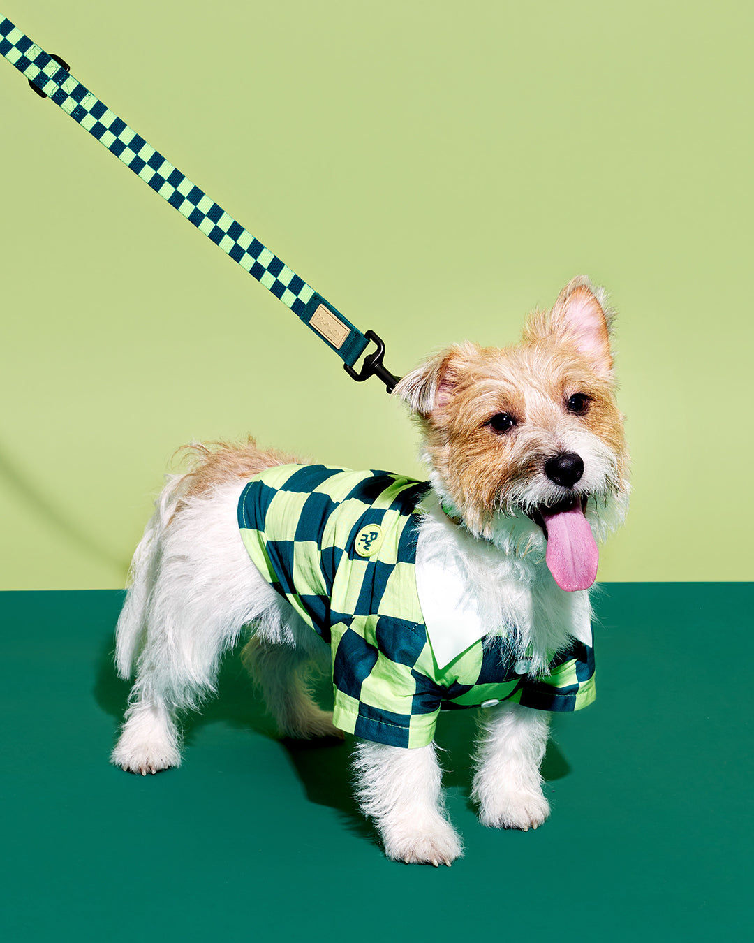 Prynometry Adjustable Leash สายจูง