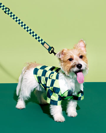 Prynometry Adjustable Leash สายจูง