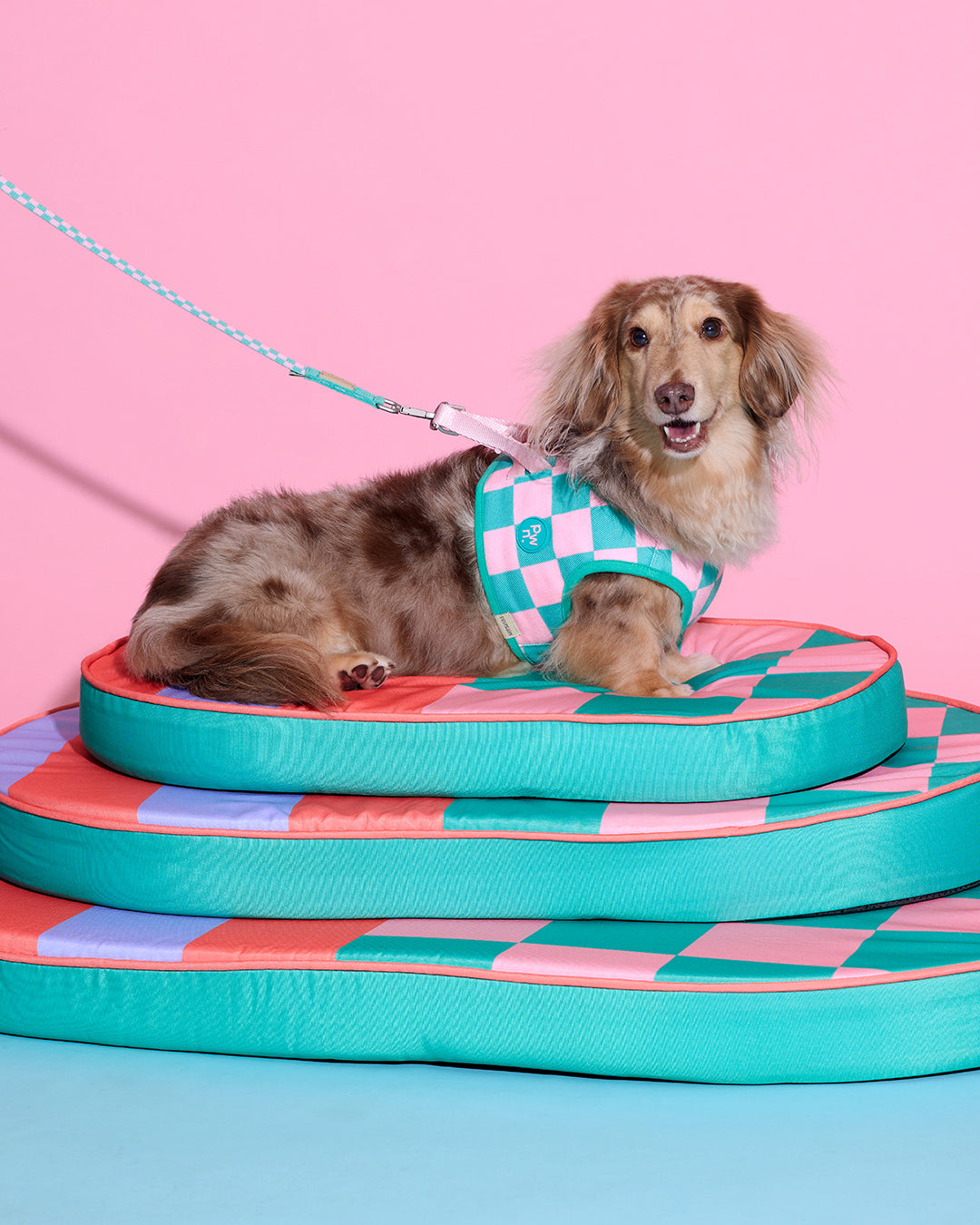 Prynometry Adjustable Leash สายจูง