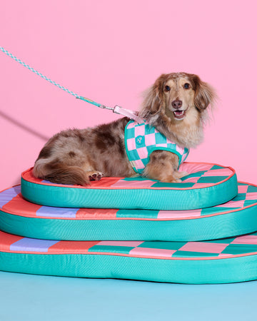 Prynometry Adjustable Leash สายจูง