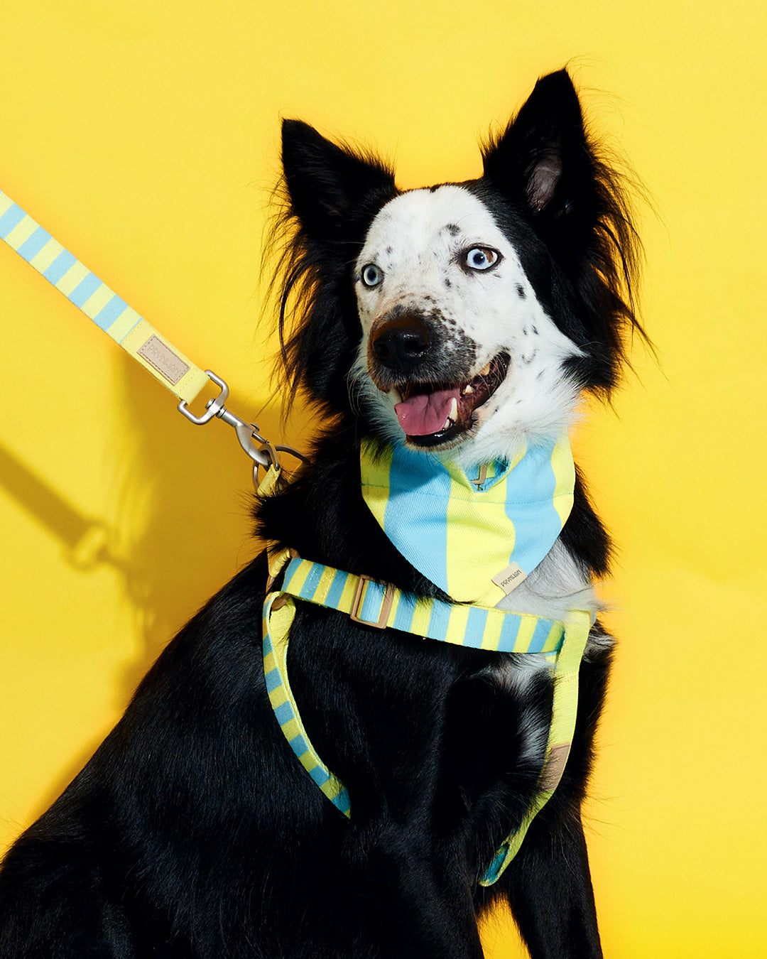 Prynometry Adjustable Leash สายจูง