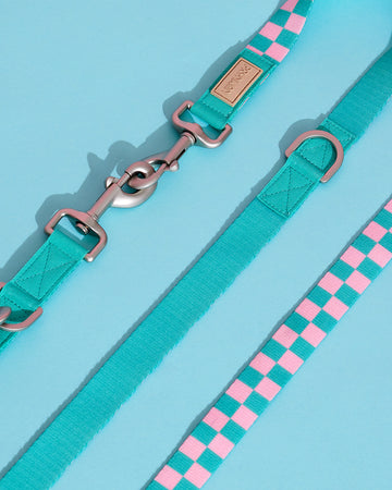 Prynometry Short Leash สายจูง