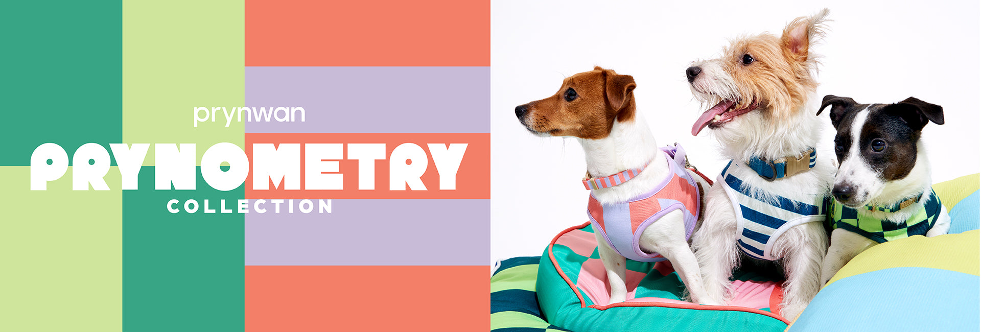 slider image slider_item_nYxL8H