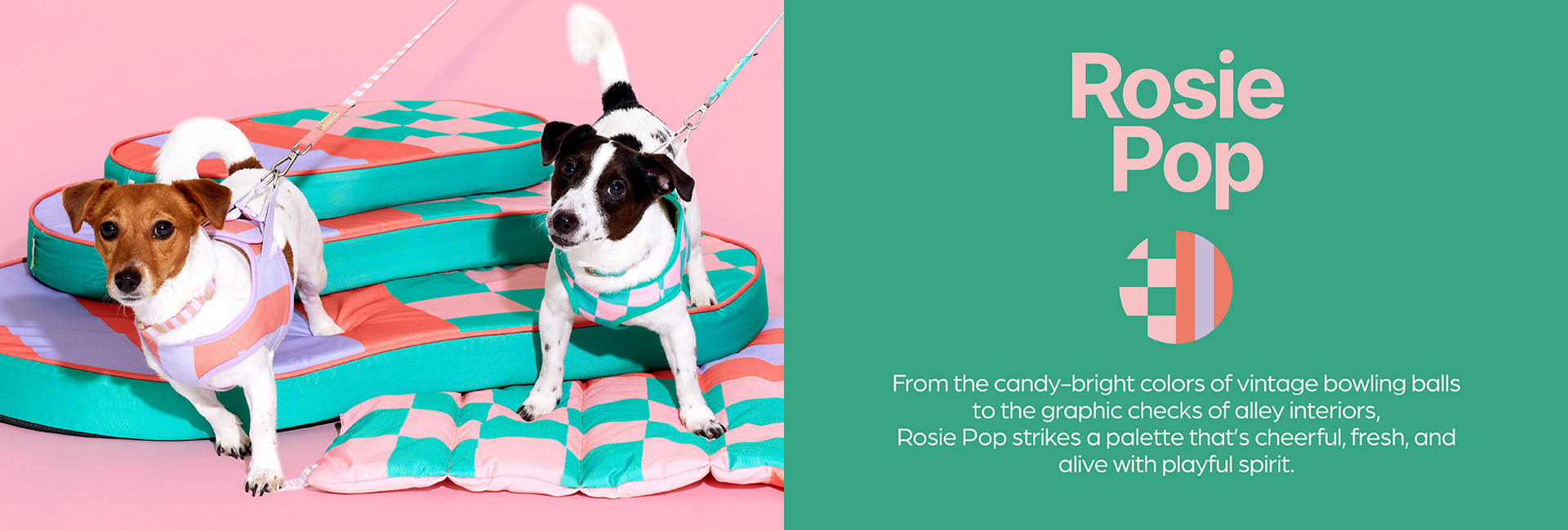 slider image 1621243260e1af0c20-0