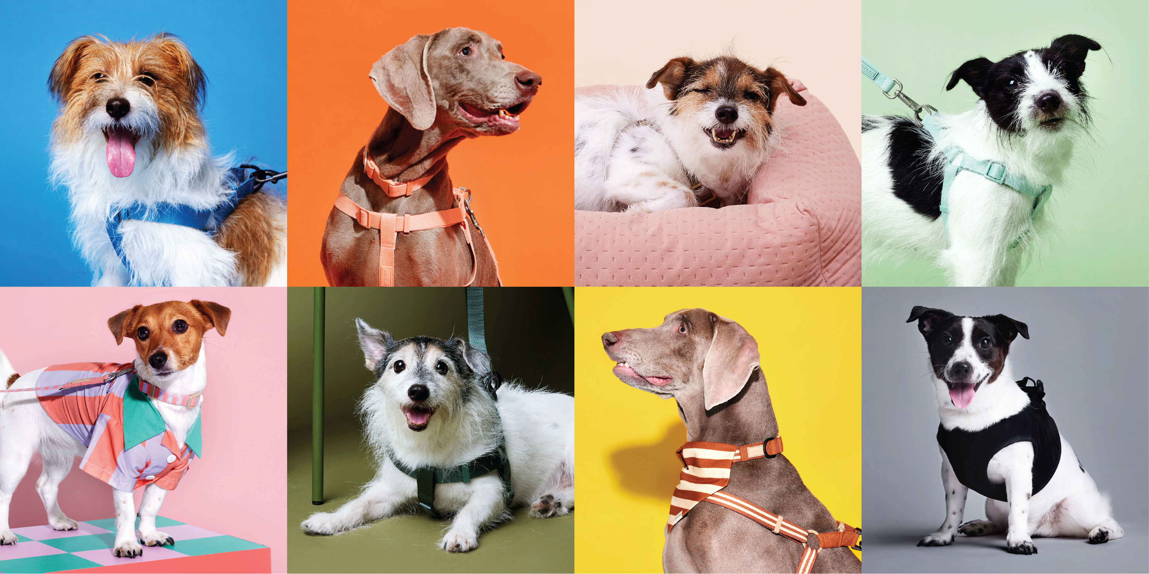 slider image slider_item_hQXnpX