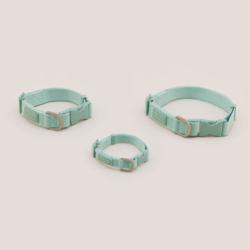 Dog Collar Tone On Tone | ปลอกคอ สัตว์เลี้ยง สีมิ้นต์