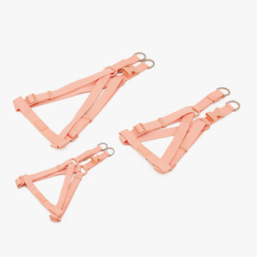 Dog Harness Tone On Tone | สายรัดอก สัตว์เลี้ยง สีส้ม