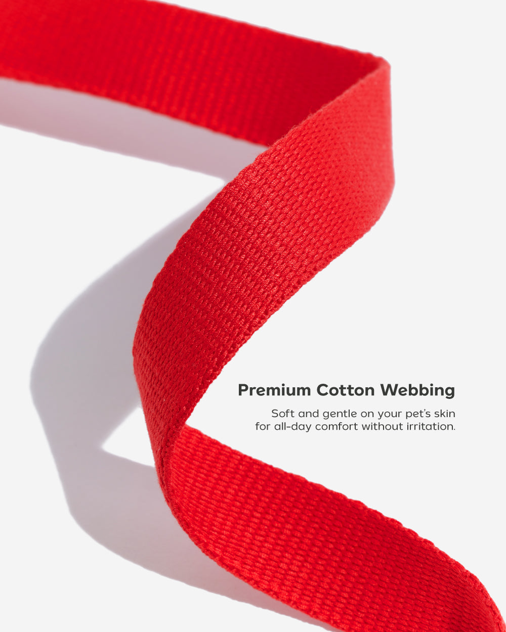 Two Tone Quick Release Collar ปลอกคอ