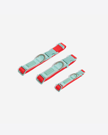 Two Tone Quick Release Collar ปลอกคอ