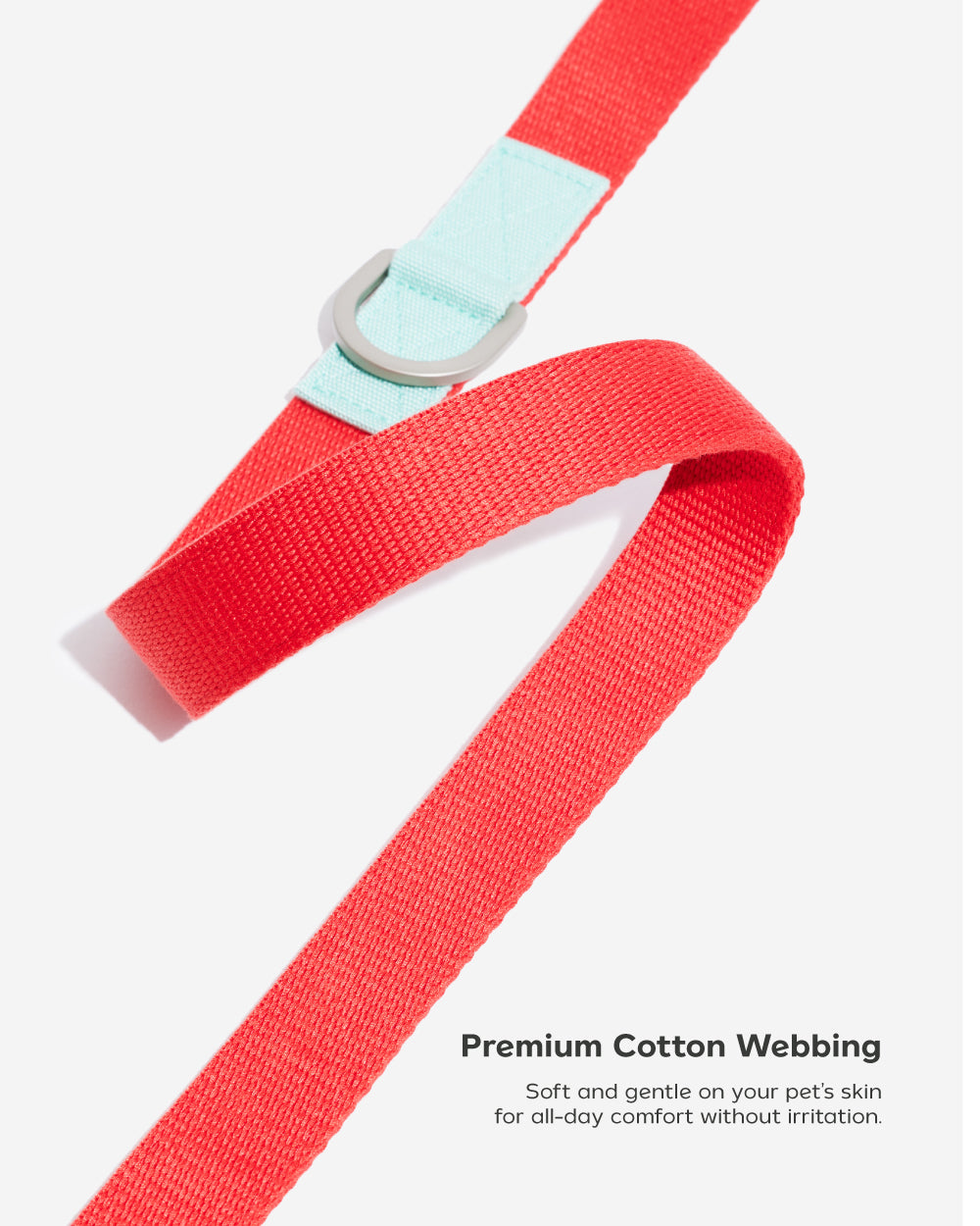 Two tone Adjustable Leash	สายจูง