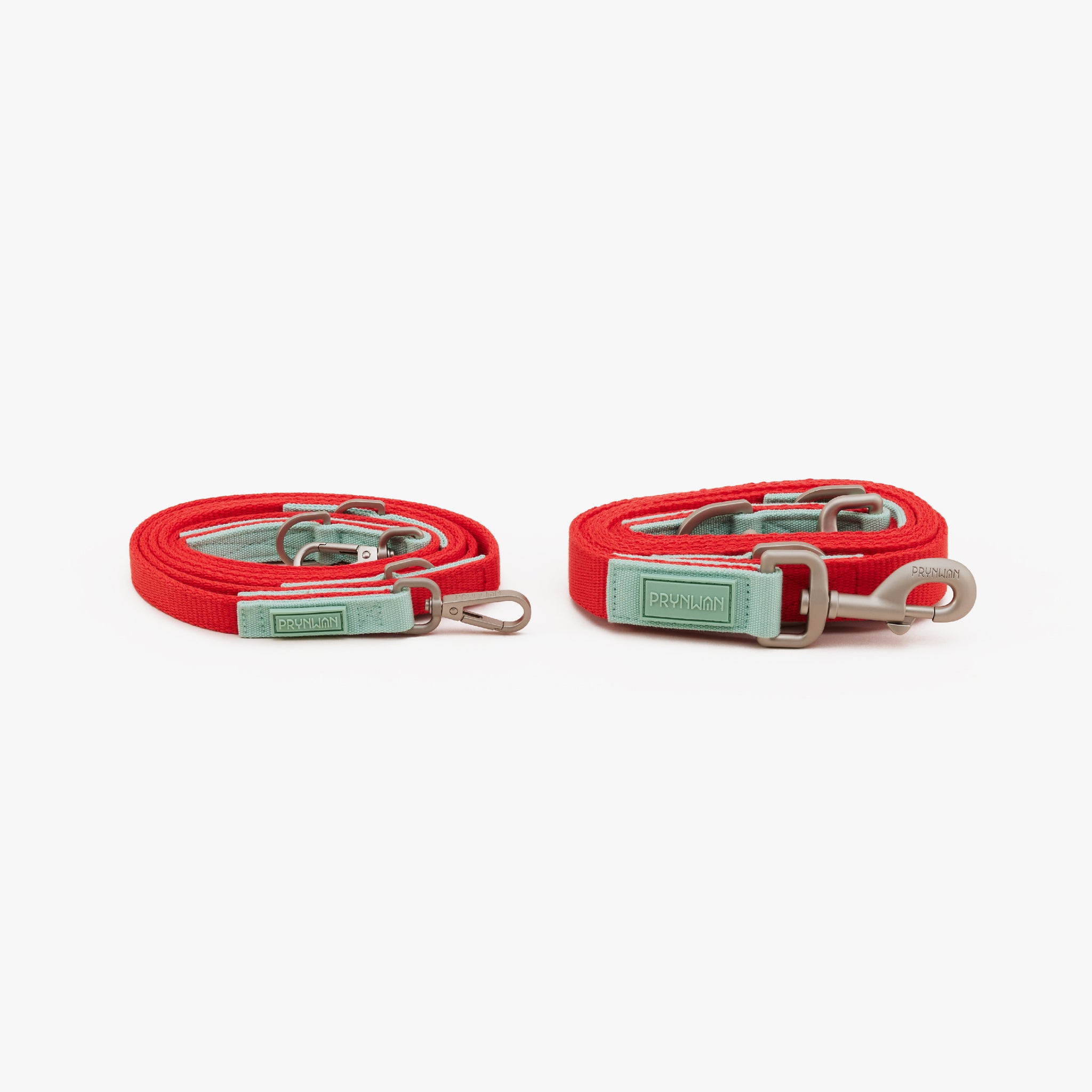 Dog Leash Xmas | สายจูง สุนัข