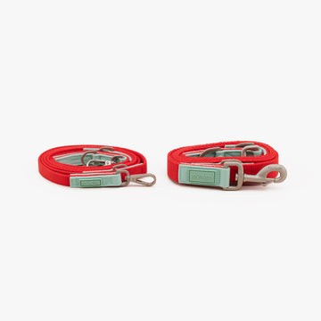 Dog Leash Xmas | สายจูง สุนัข