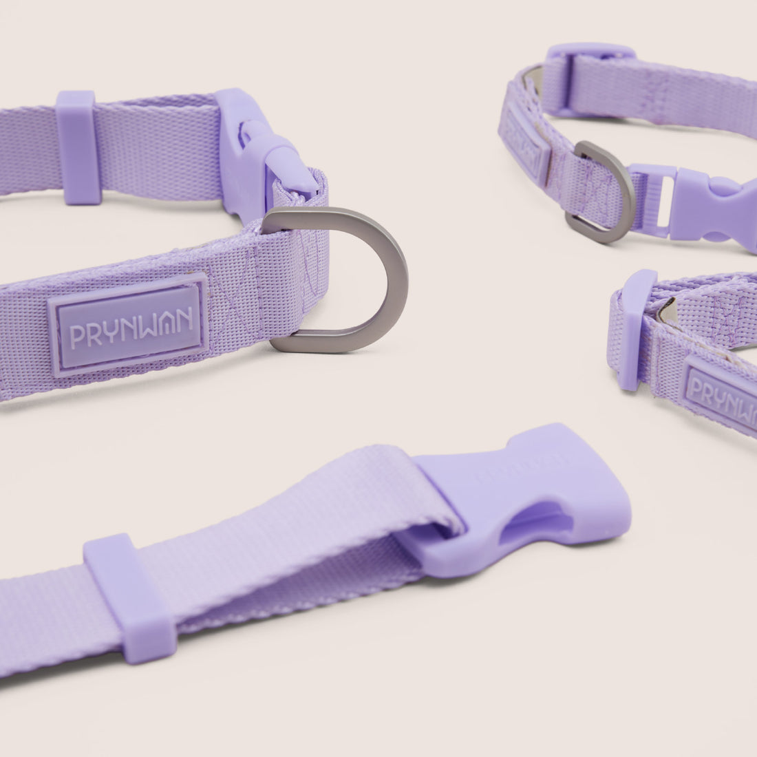 Dog Collar - VIOLA | ปลอกคอ สัตว์เลี้ยง สีม่วง