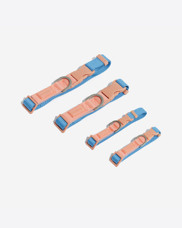 Two Tone Quick Release Collar ปลอกคอ