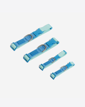 Two Tone Quick Release Collar ปลอกคอ