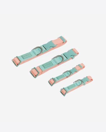 Two Tone Quick Release Collar ปลอกคอ