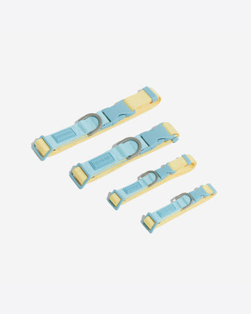 Two Tone Quick Release Collar ปลอกคอ