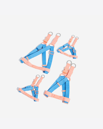 Two tone Step-in Harness สายรัดอก