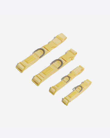 Tone On Tone Quick Release Collar ปลอกคอ