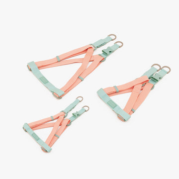Dog Harness Two Tone | สายรัดหน้าอก สัตว์เลี้ยง สีส้ม-มิ้นต์