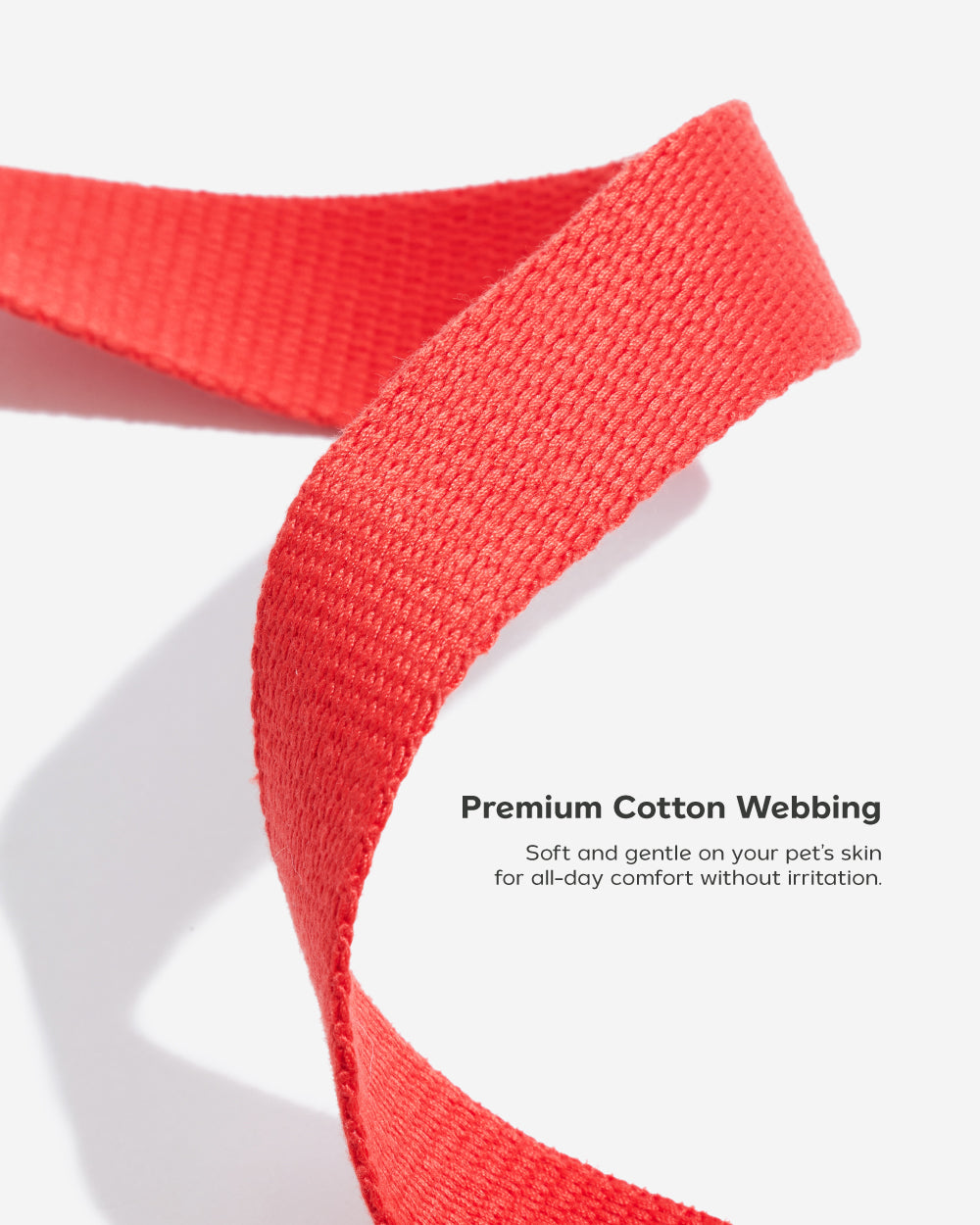 Two tone Step-in Harness สายรัดอก