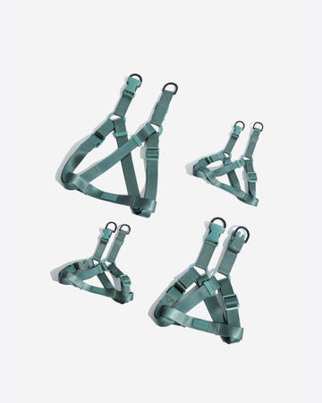 Tone on tone Step-in Harness สายรัดอก